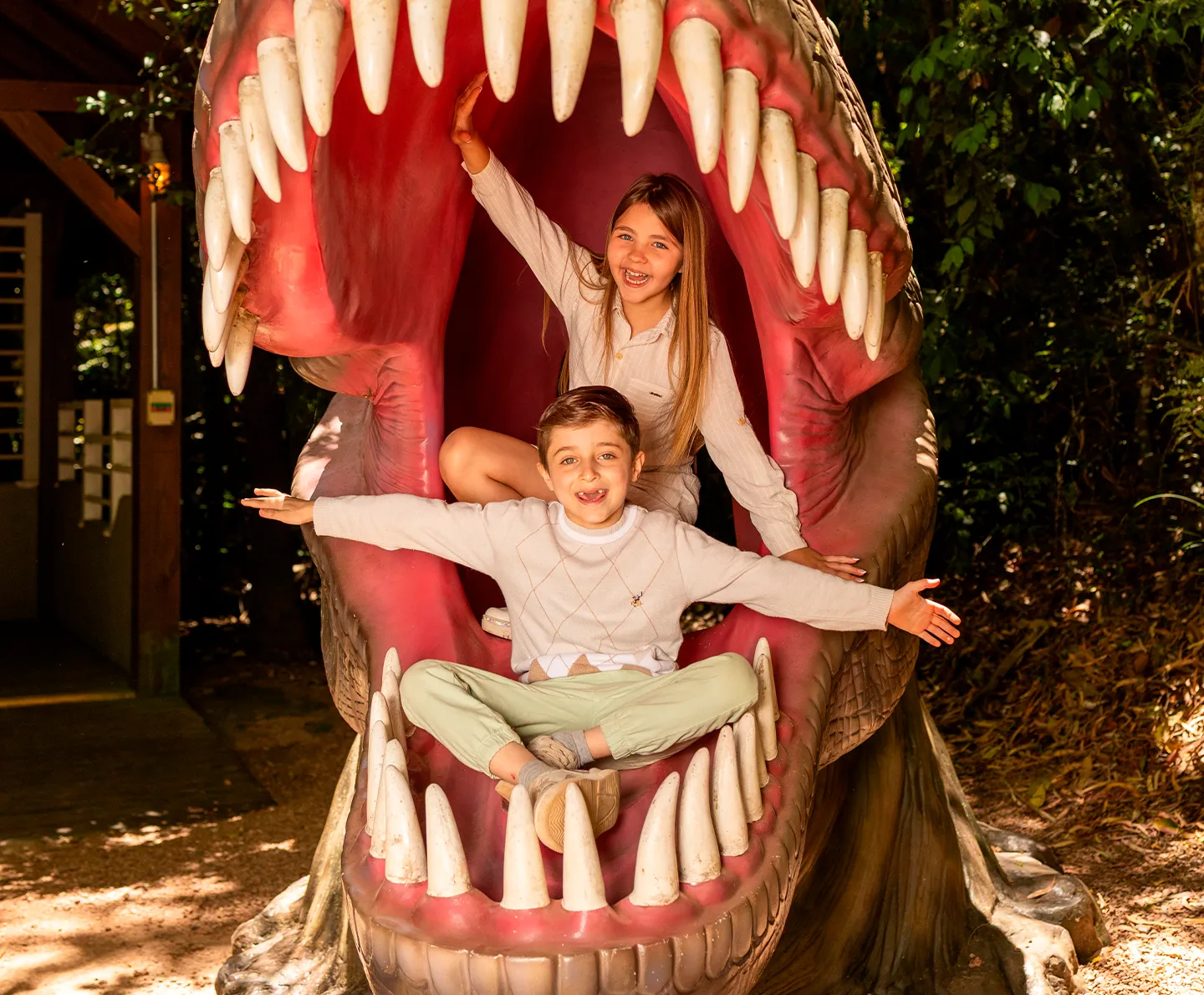 Encantos e descobertas em meio à natureza.